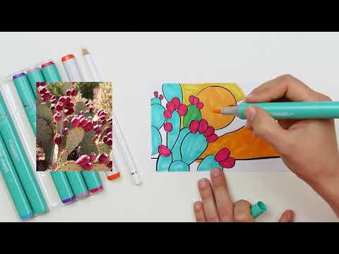 Jewel Toned Illustration Marker Premium Box